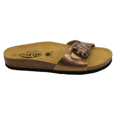 PLAKTON - BOM PRT SAMOA