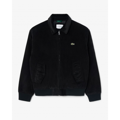 LACOSTE - PADDED CORDUROY AVIATOR