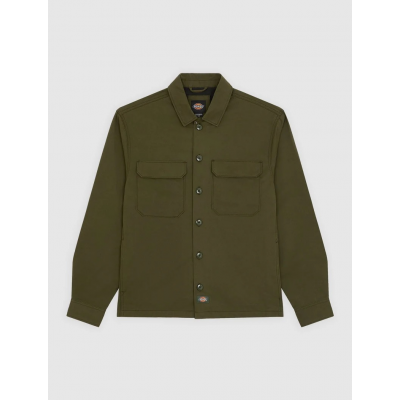 DICKIES - 247 SHACKET