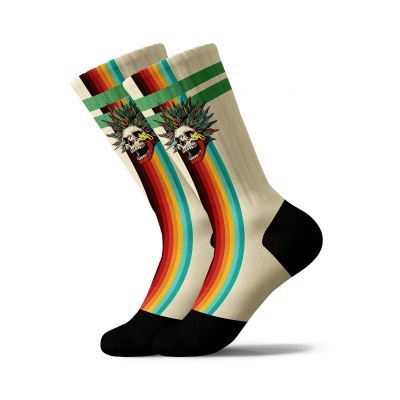 PULL IN - SOCKS LONGTRESLE - MULTICOLORE