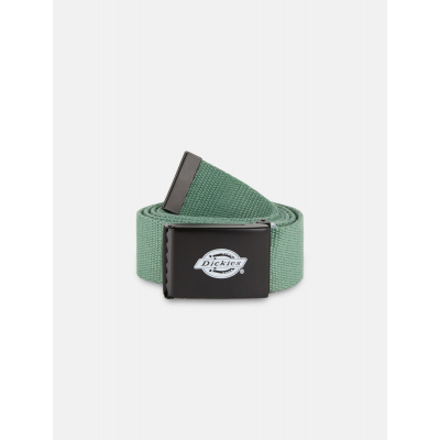 DICKIES - ORCUTT WEBBING BELT