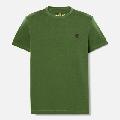 TIMBERLAND - DUNSTAN RIVER SHORT SLEEVE TEE - VERT