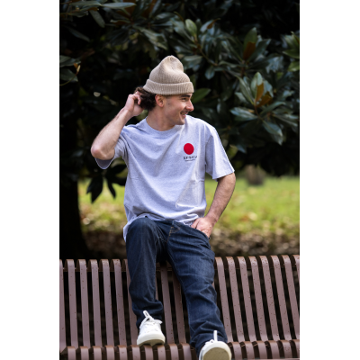 EDWIN - JAPANESE SUN SUPPLY TS - GRIS