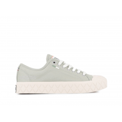 PALLADIUM - PALLA ACE CVS ORG
