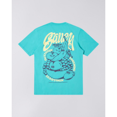 EDWIN - FRUITS OF LOVE TS