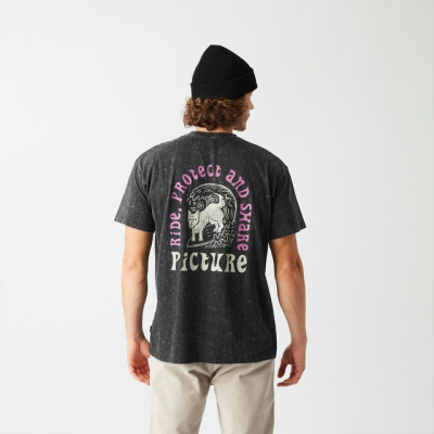 PICTURE - PICTURIDE TEE
